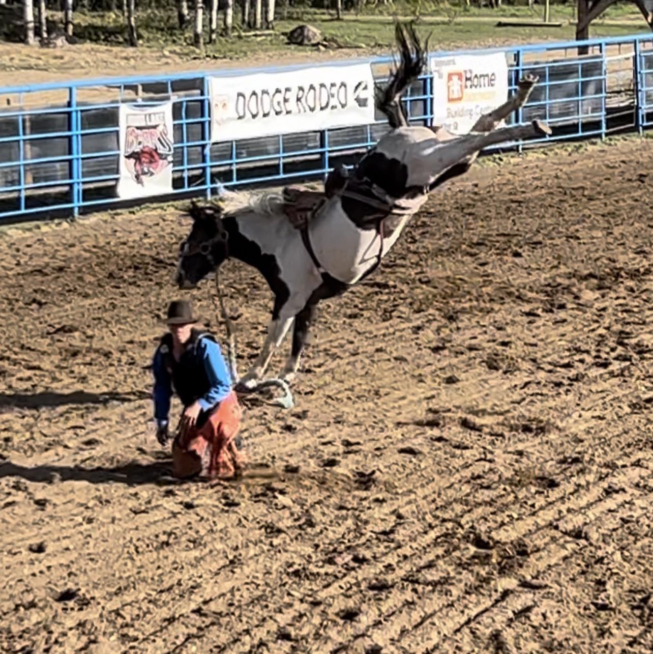 Top Line Rodeo