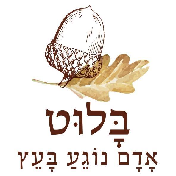 בלוט/סטודיו לנגרות/איציק לוי/נגר | Mishmarot