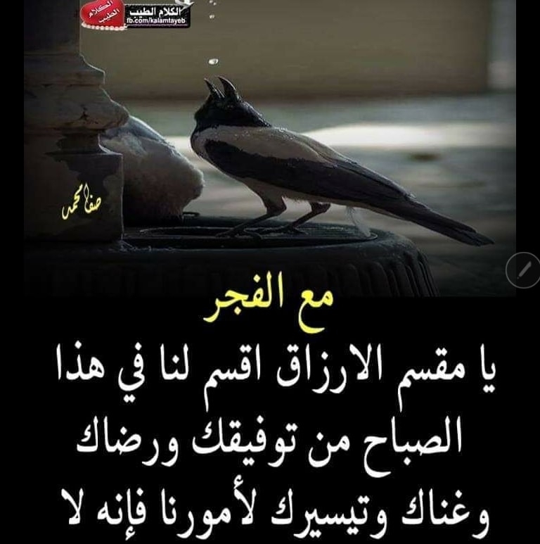 ربي زدني تقى