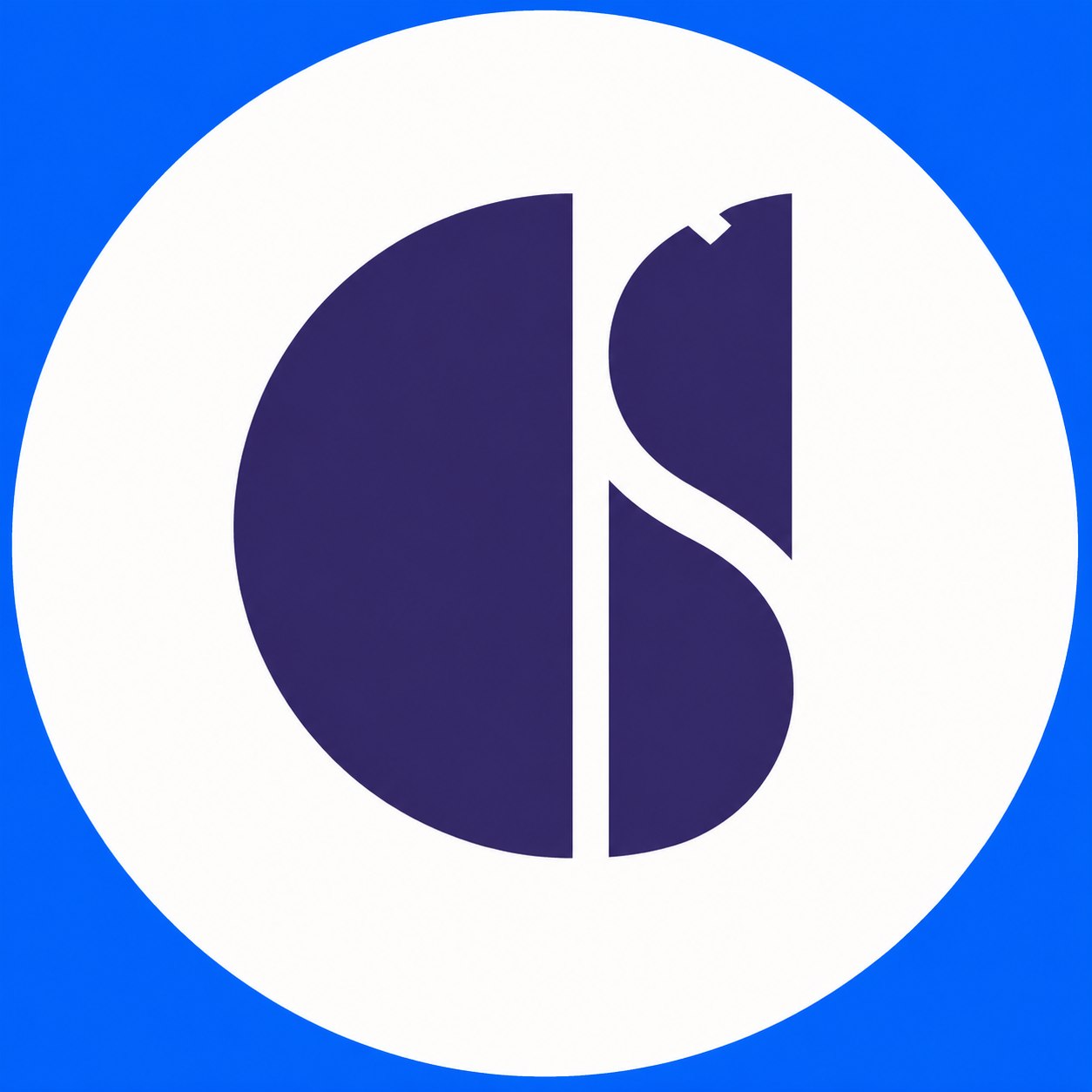 CS Infotech