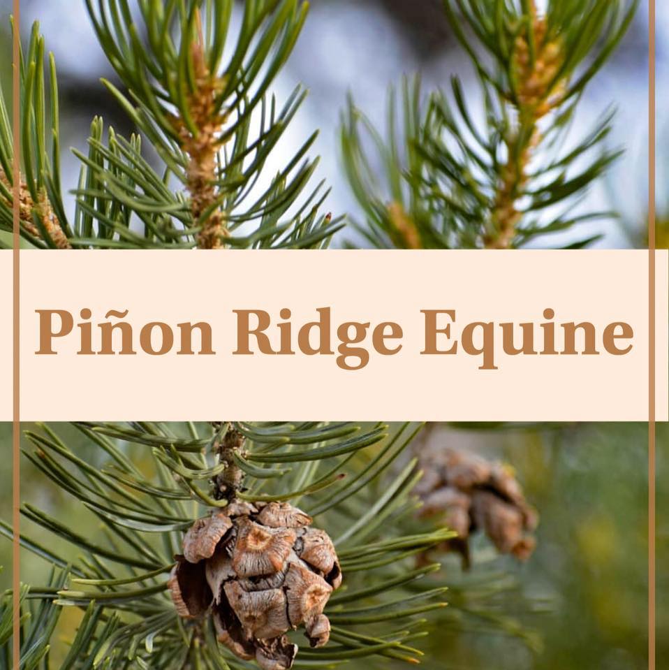 Pinon Ridge Equine | Canon City CO