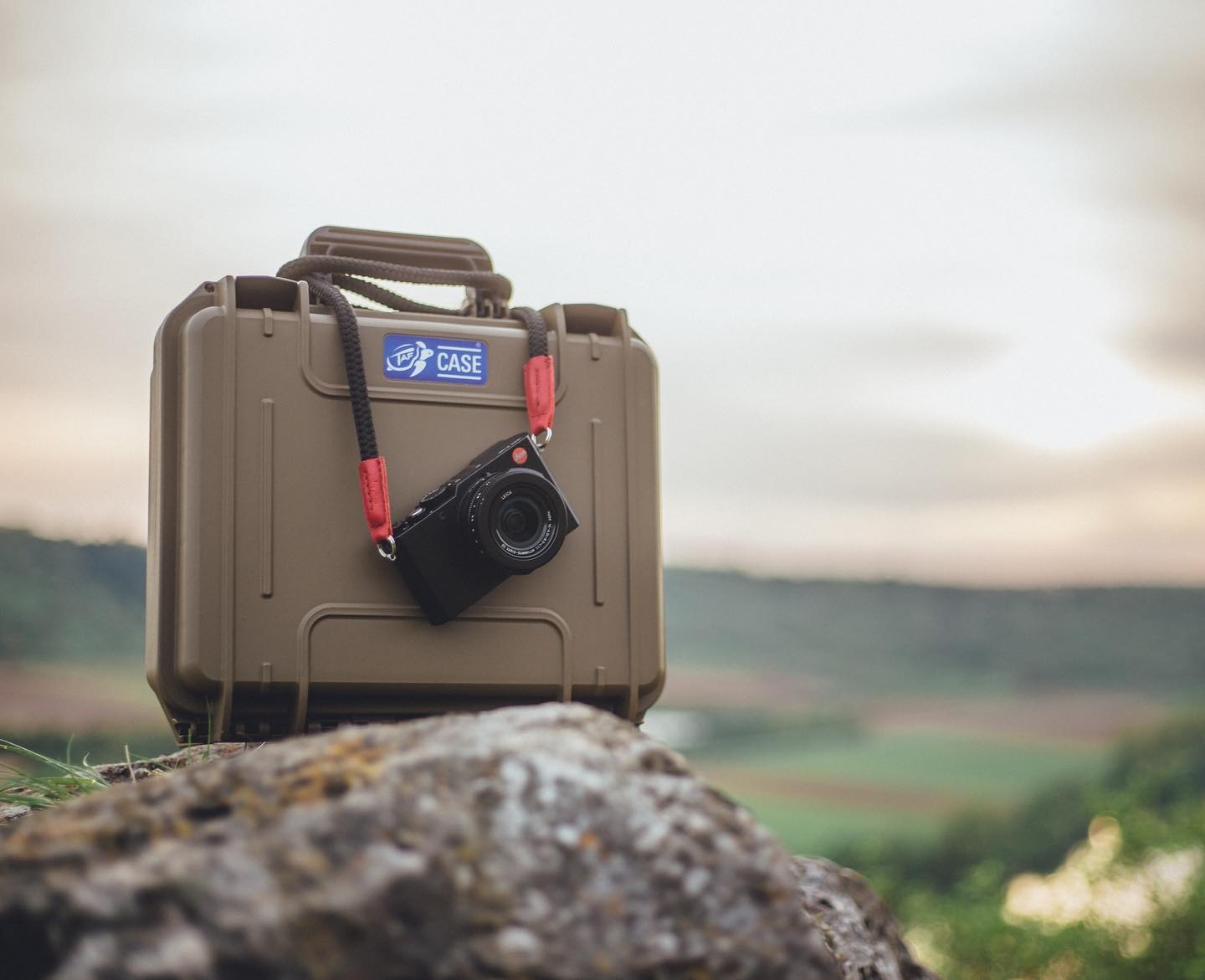 TAF CASE
