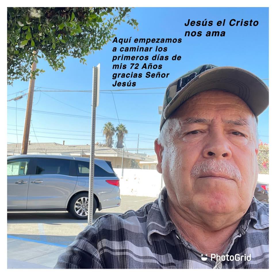 #gatos #norwalk #felinoscaseros #animales | Jesus vive y viene pronto