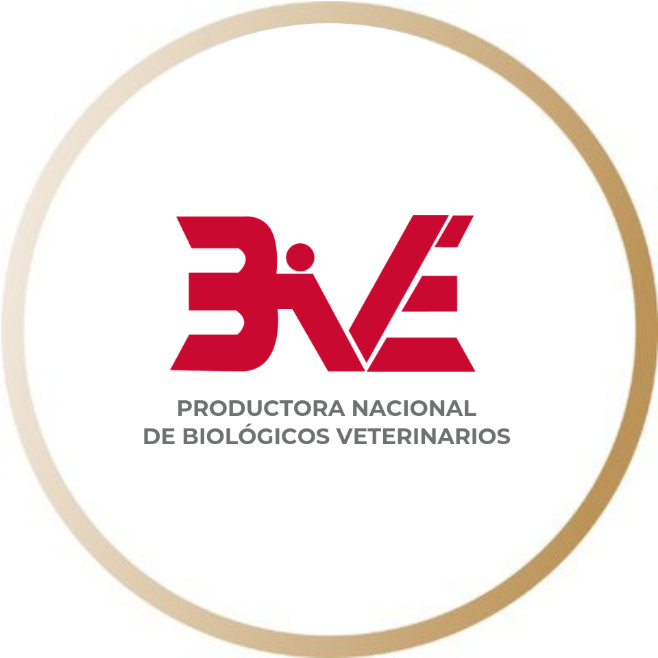 Pronabive - #Vehc2Bive🐇 es una vacuna monovalente segura y efectiva ...