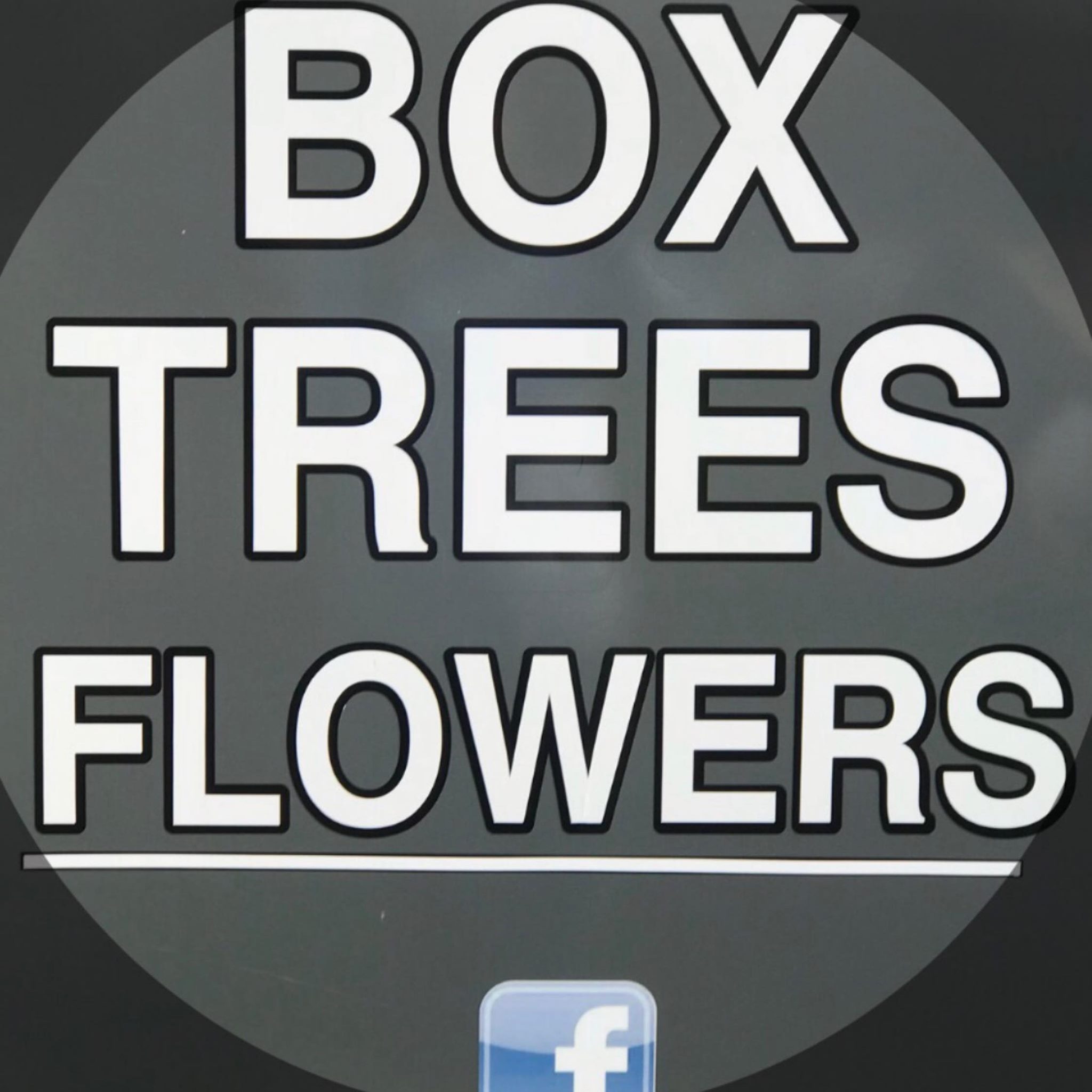 Box Trees Flowers | Solihull