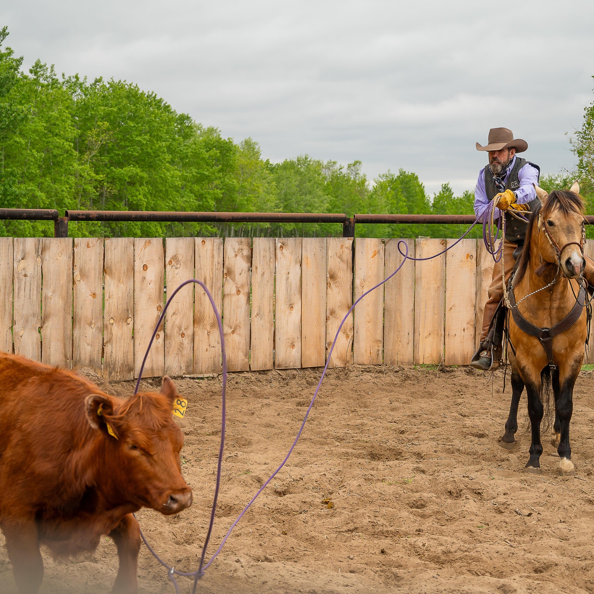 Griffith Ranch