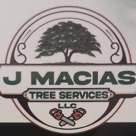 Tree removal free estimate 7276145293 | J Macías tree services