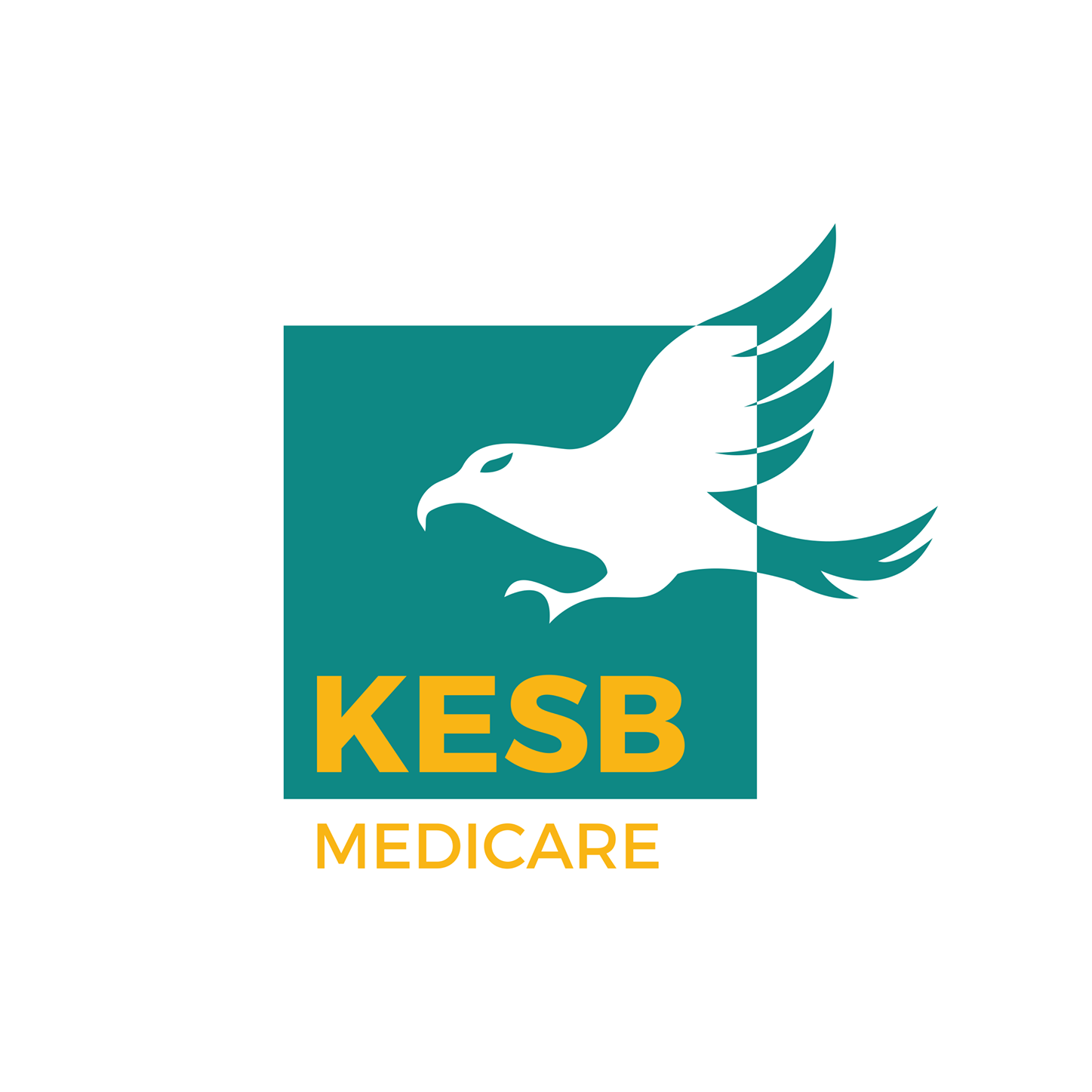 KESB Medicare