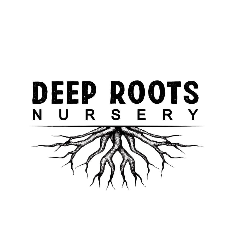 Deep Roots Nursery - Mont Belvieu | Old River-Winfree TX