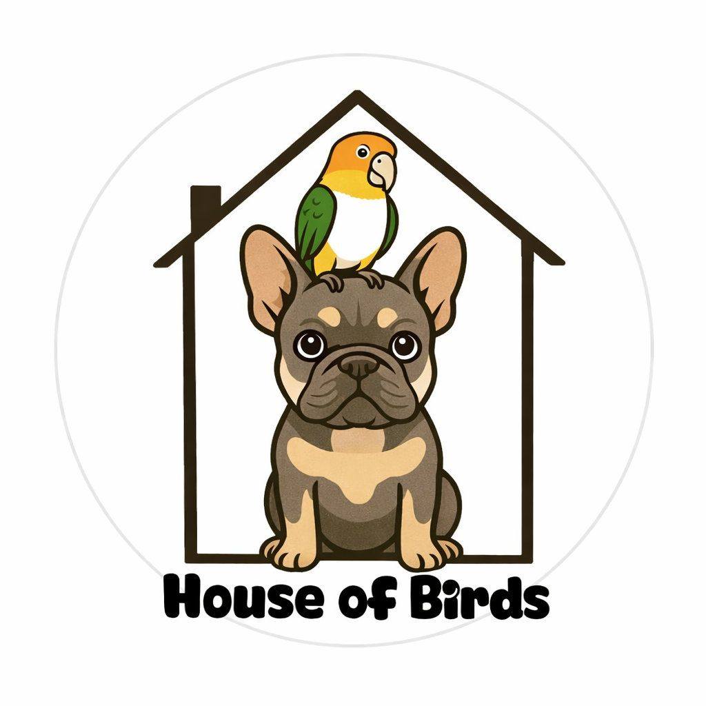 House of Birds