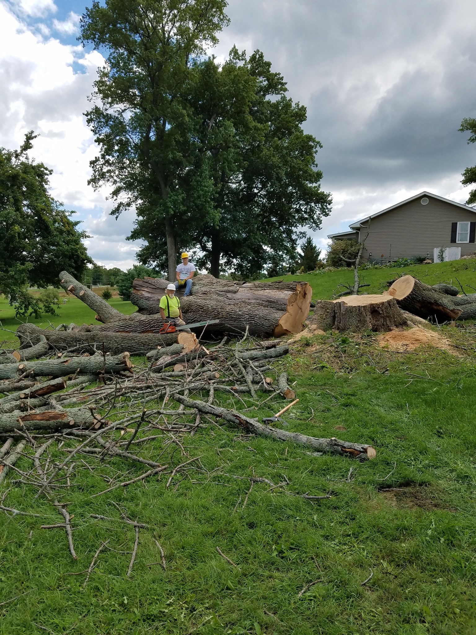 Always Chipper Tree Service | Mount Gilead OH
