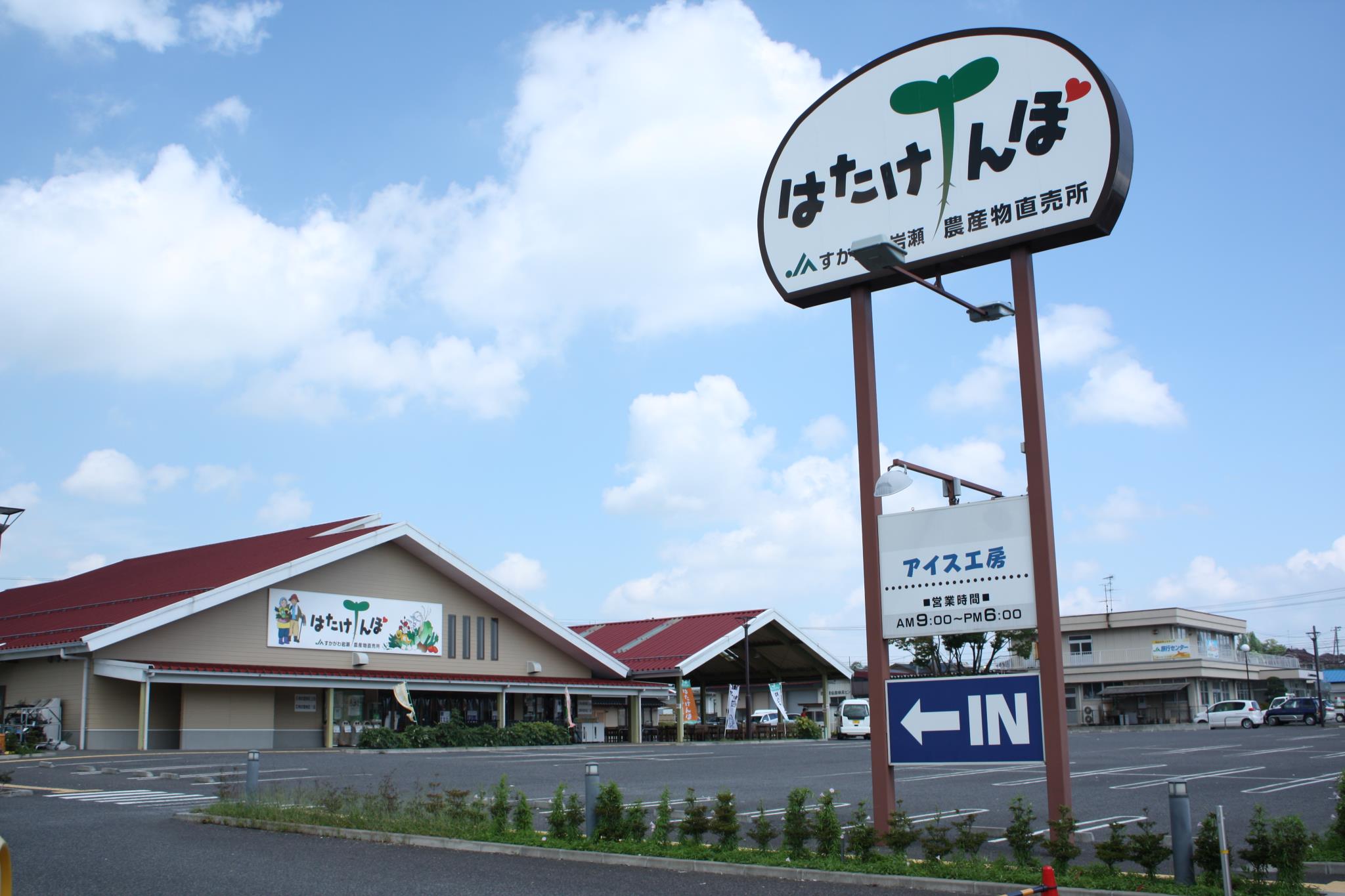 当時のメディア報道・掲載写真