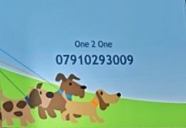 One2One Dog Walking Service | Perth