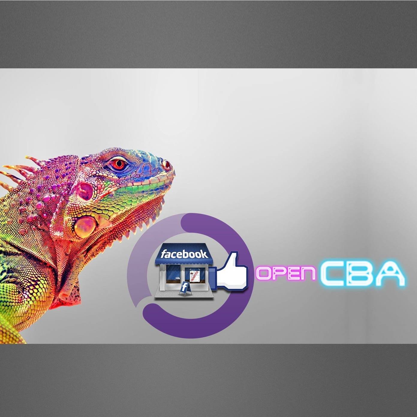 OPEN.CBA.com