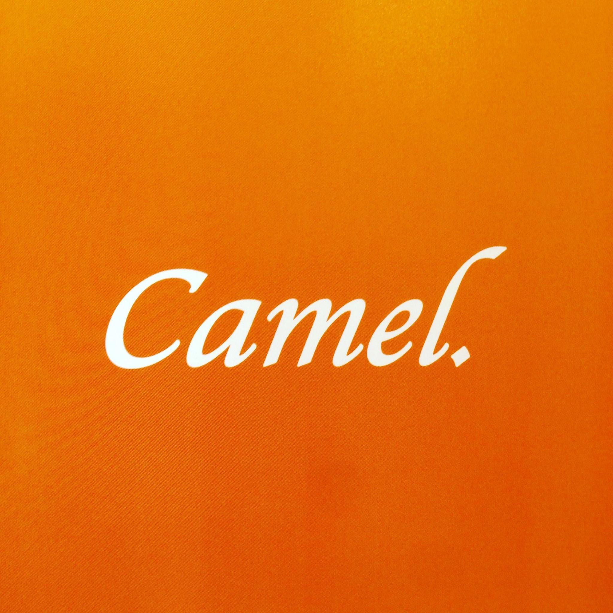 Camel