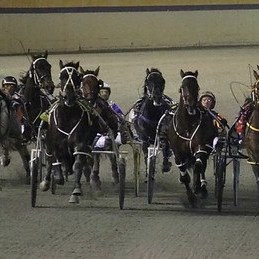 Harness Racing WA