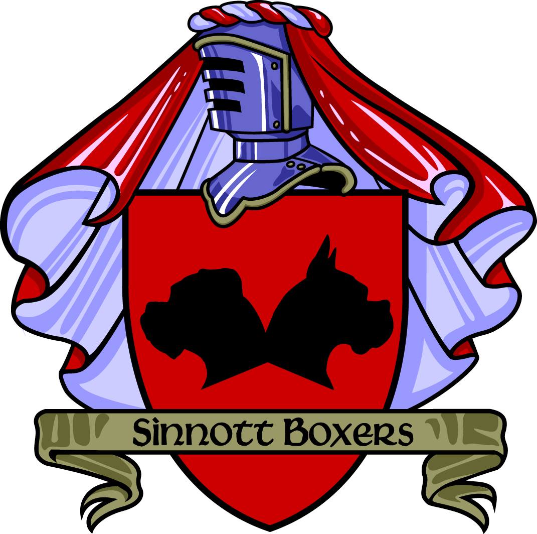 Sinnott Boxers | Bolton MA