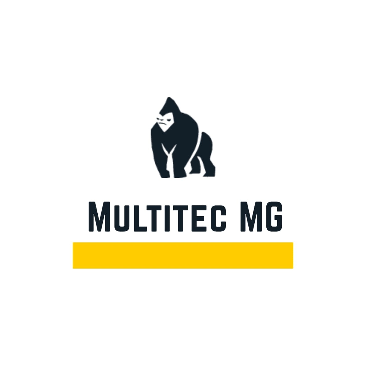 MultiTec MG