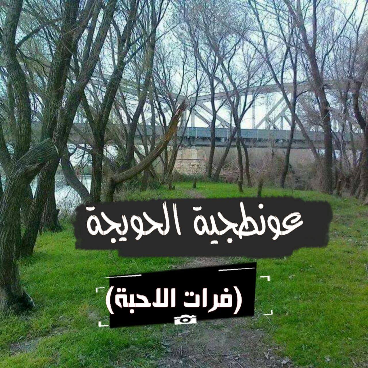 عونطجية الحويجة - #جيل_الذهب ﻟﻤﺎ ﻳﻌﻄﻴﻚ ﺍﻷﺳﺘﺎﺫ ﻃﺒﺎﺷﻴﺮ ﺃﻭ ﺃﻭﺭﺍﻕ ﻭ ﻳﻘﻮﻝ ﻟﻚ ...