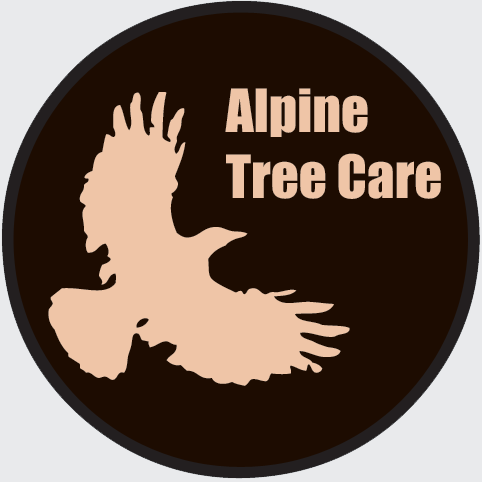 Alpine Tree Care