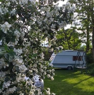 Caravan Camping Costișa | Costisa