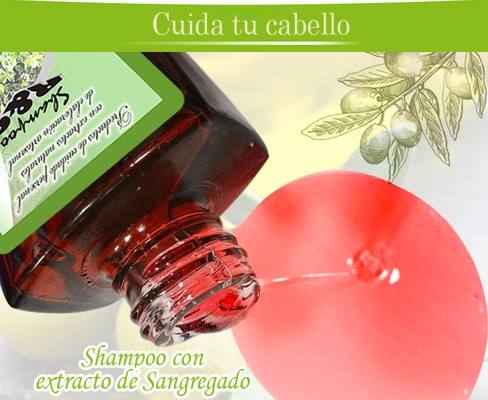 R&G Shampoo con extractos naturales