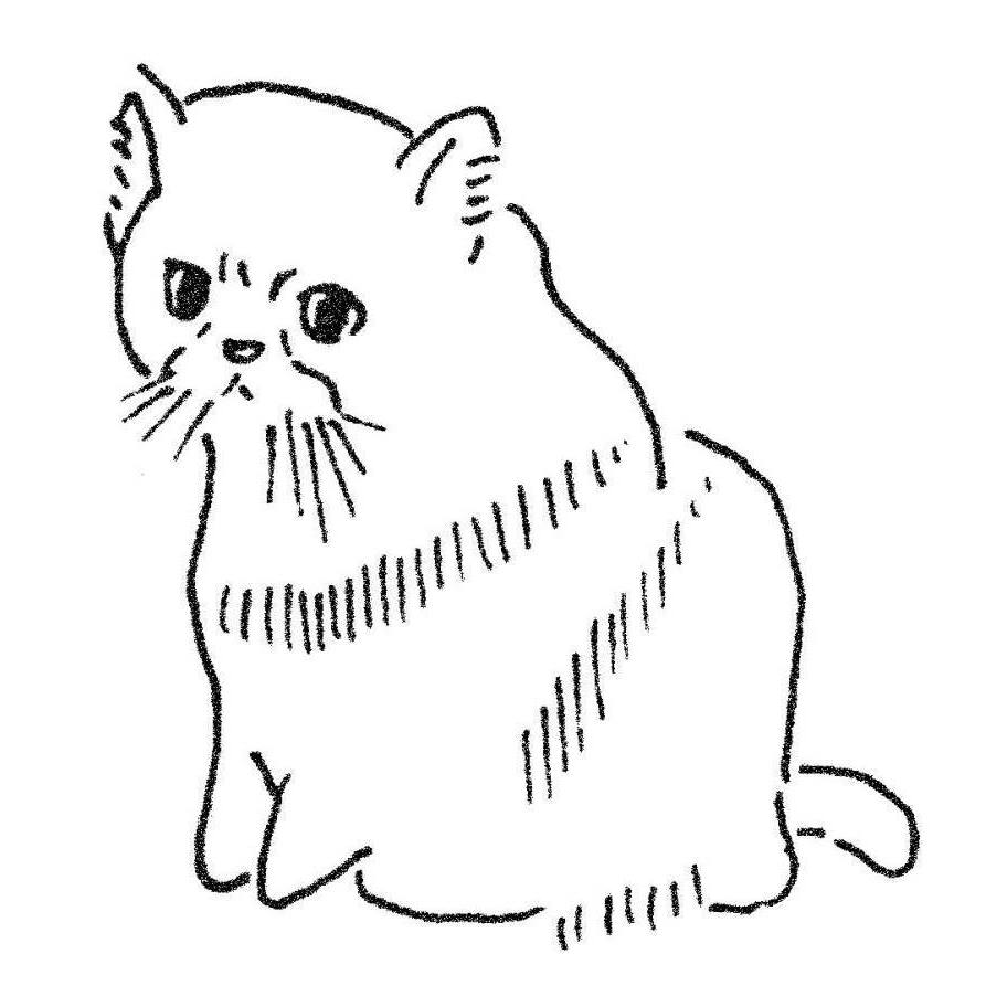 三ツ山 猫 ストア