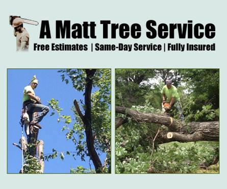 A. Matt Tree Service | Fort Worth TX