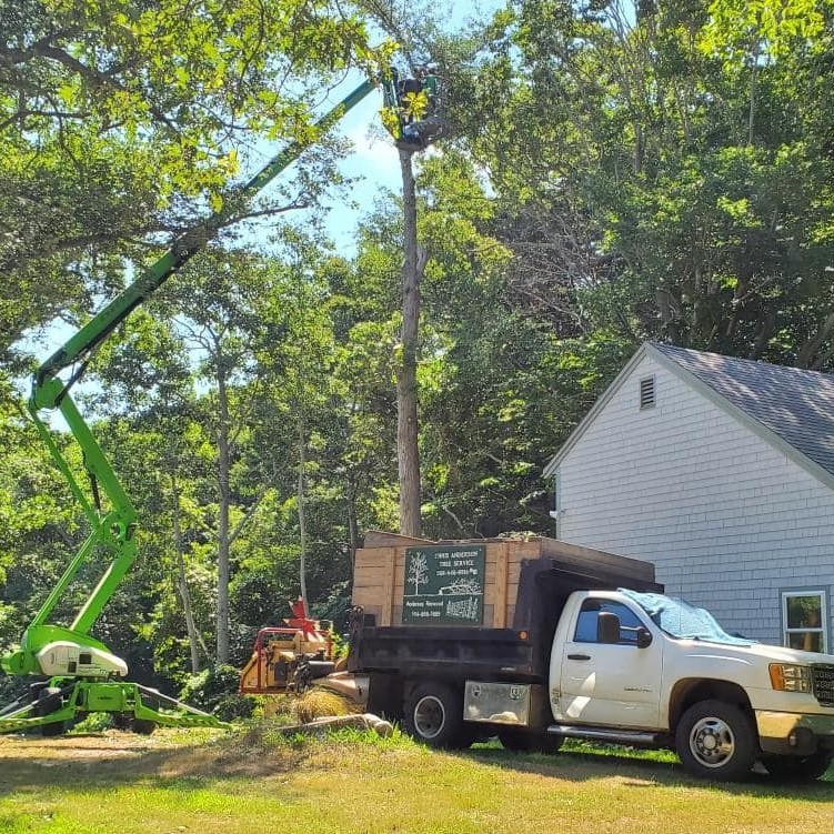 Chris Anderson Tree Service, LLC. | Sandwich MA