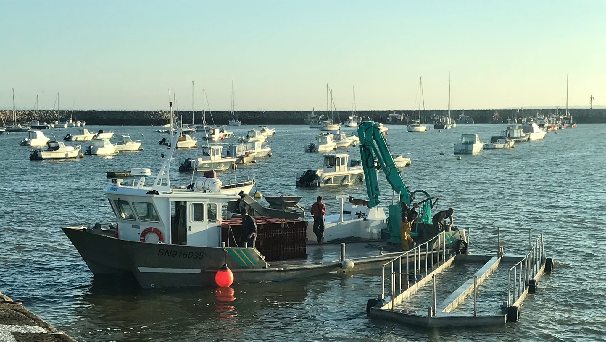 Néthymoules Bitard | La Plaine-sur-Mer