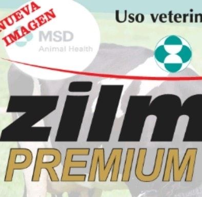 Zilmax Premium | Tlajomulco de Zúñiga