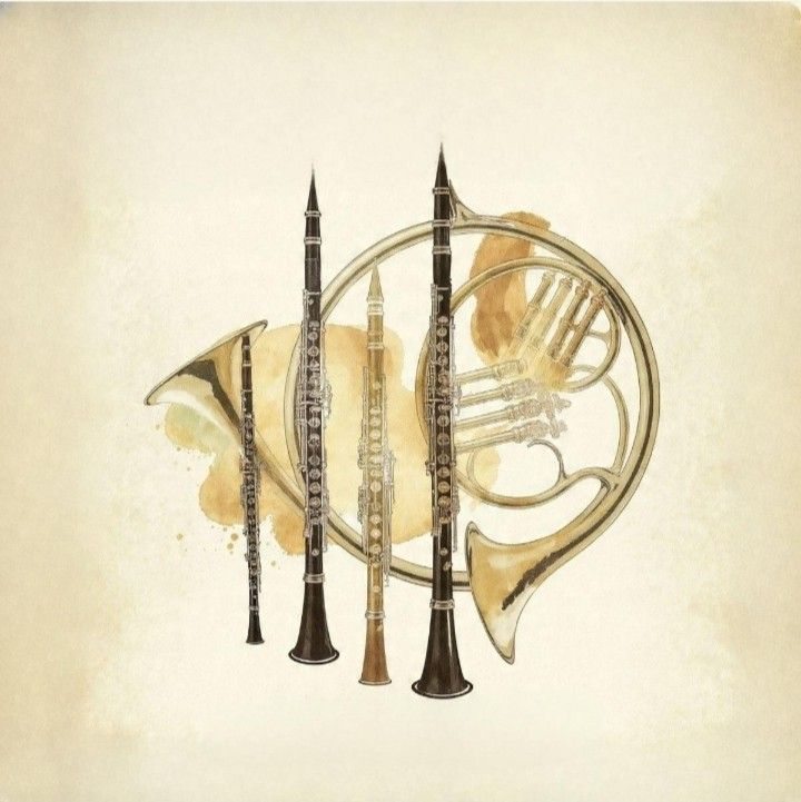 Ensamble de Viento Nueva Camerata on Reels