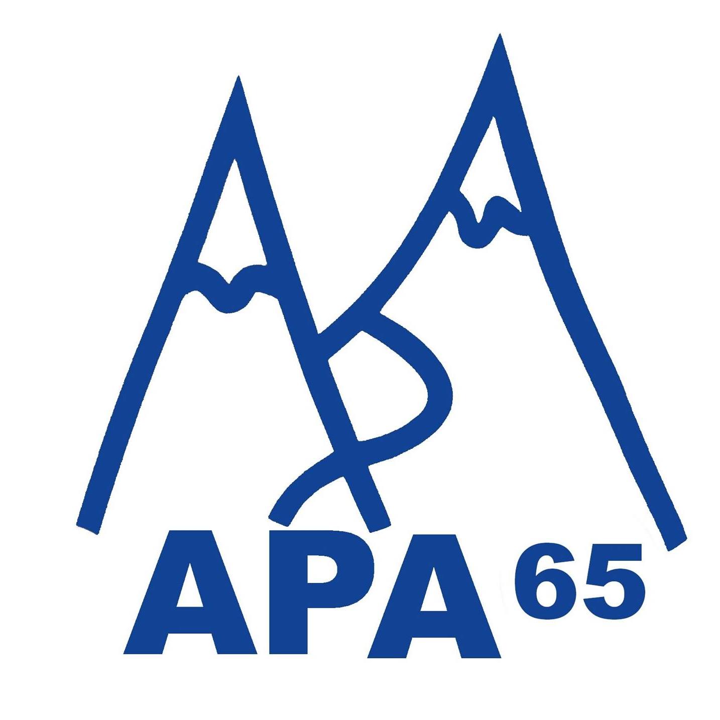 APA 65