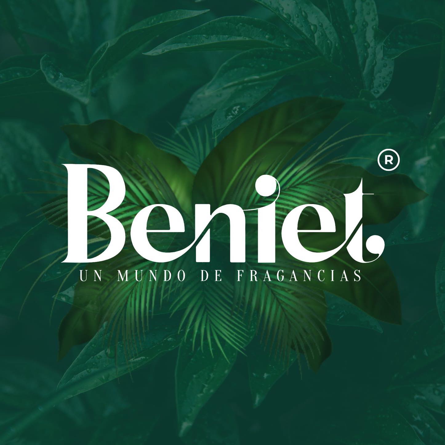 Beniet Guamal | Guamal