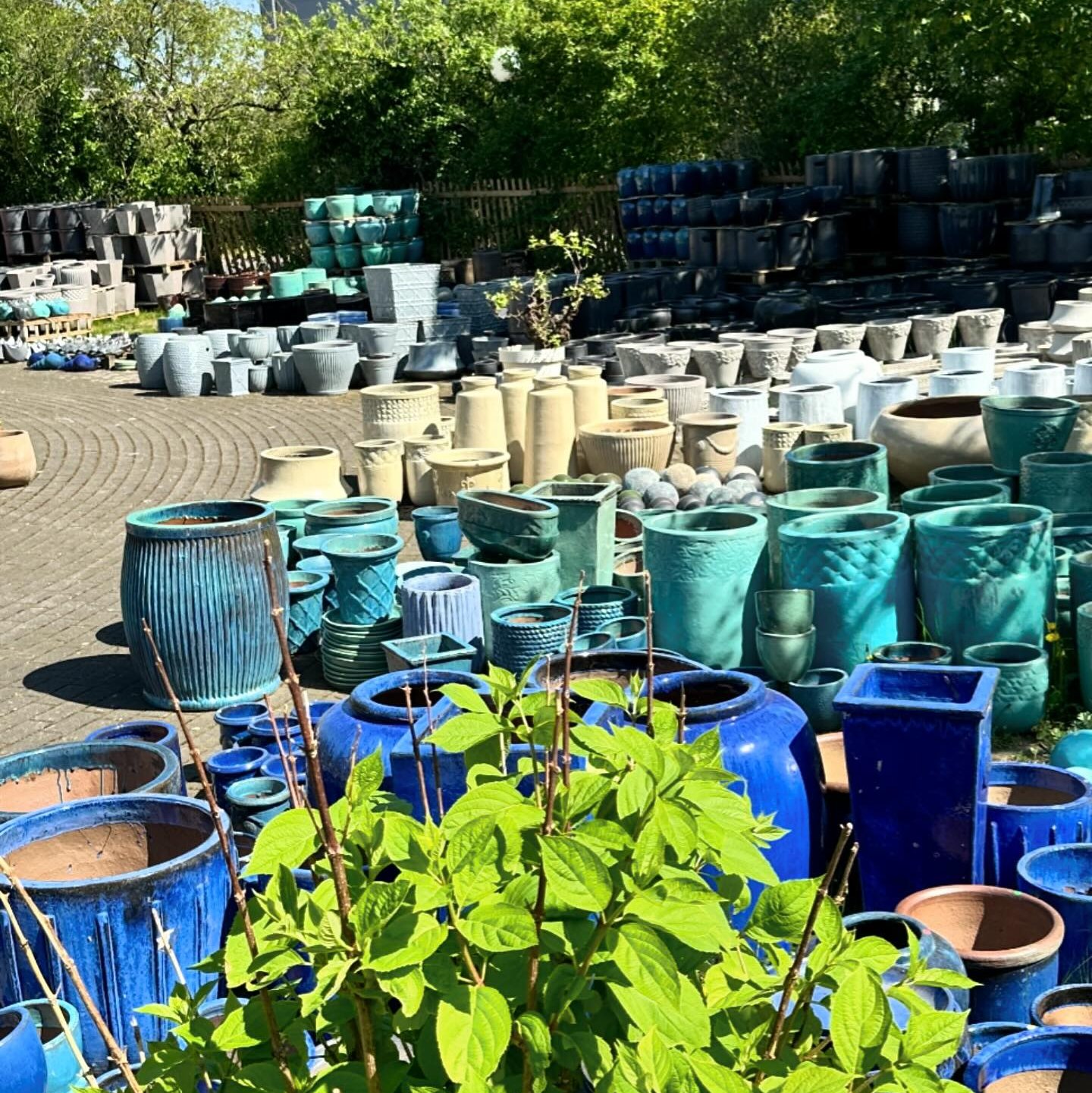 Blumentopf Outlet Ganderkesee