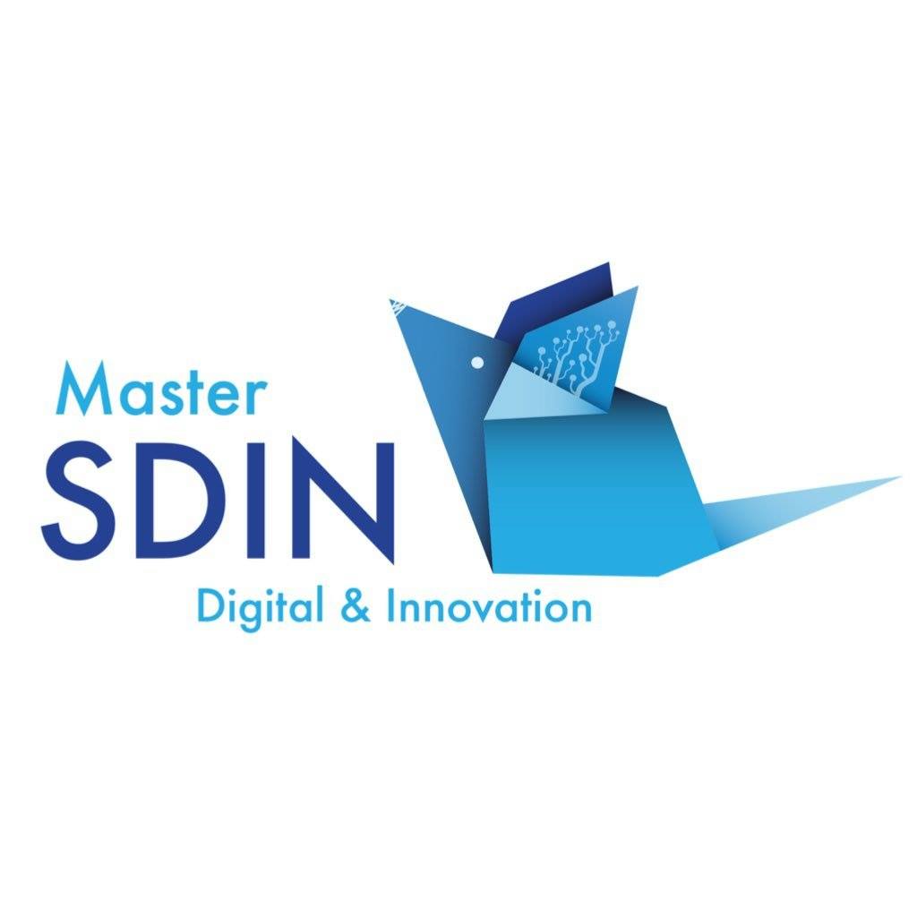 Master SDIN - ex Ecotic