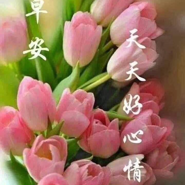現在的小孩還玩這樣的遊戲嗎。以前生的小孩多一現在人都只同居生活不喜歡生啊。人口越來越少啊 | Facebook