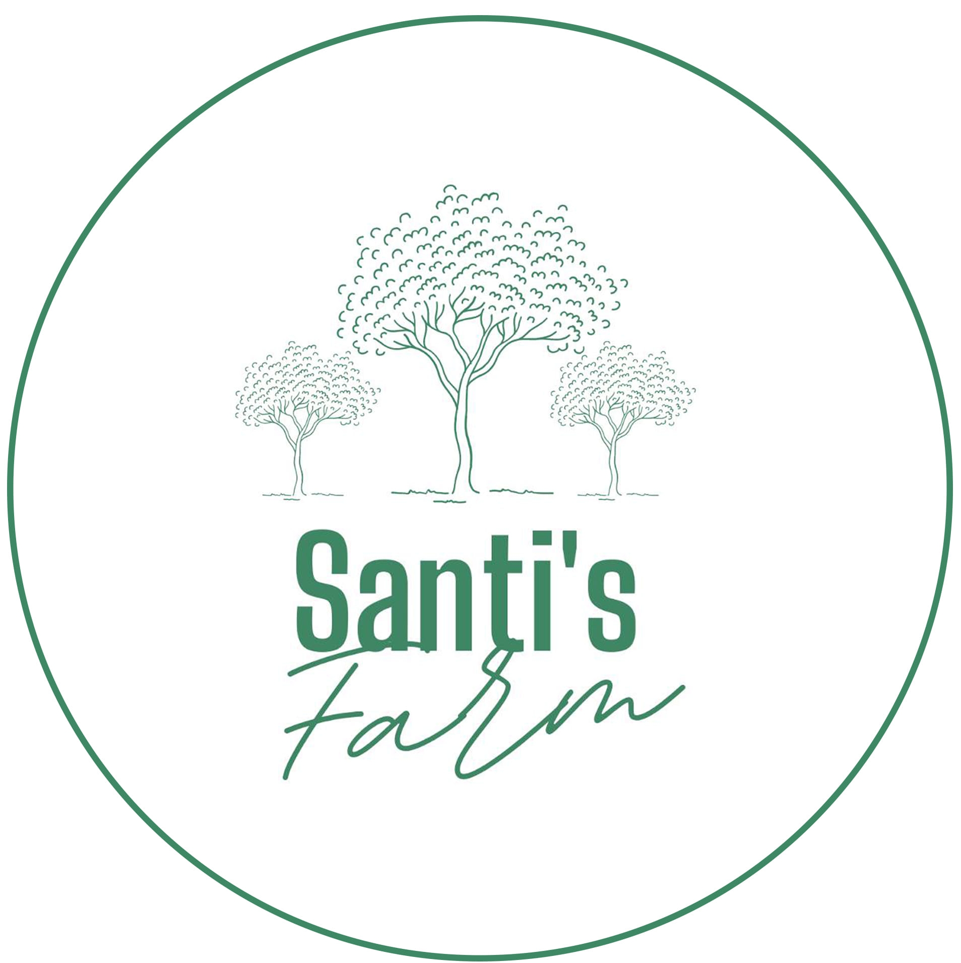 Santi's Farm - อินทผาลัมทานผลสด
