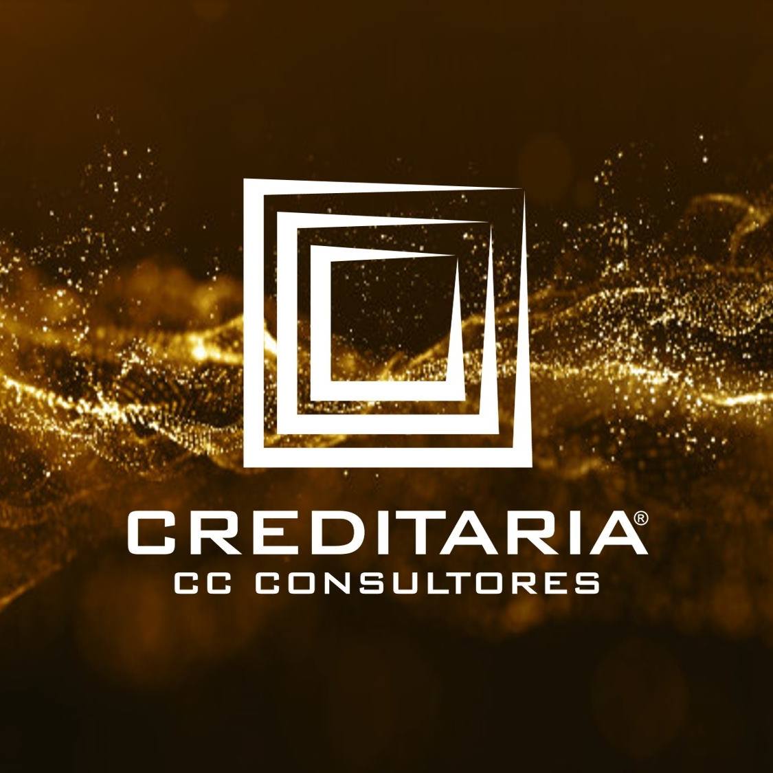 Creditaria CC Consultores