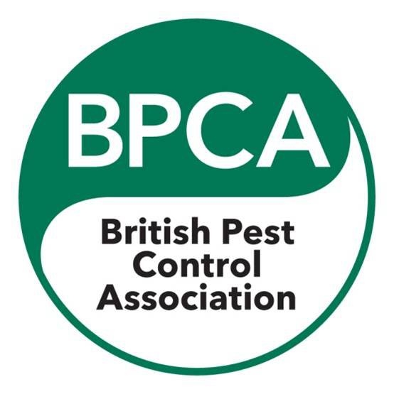 First Call Pest Management | Rubery