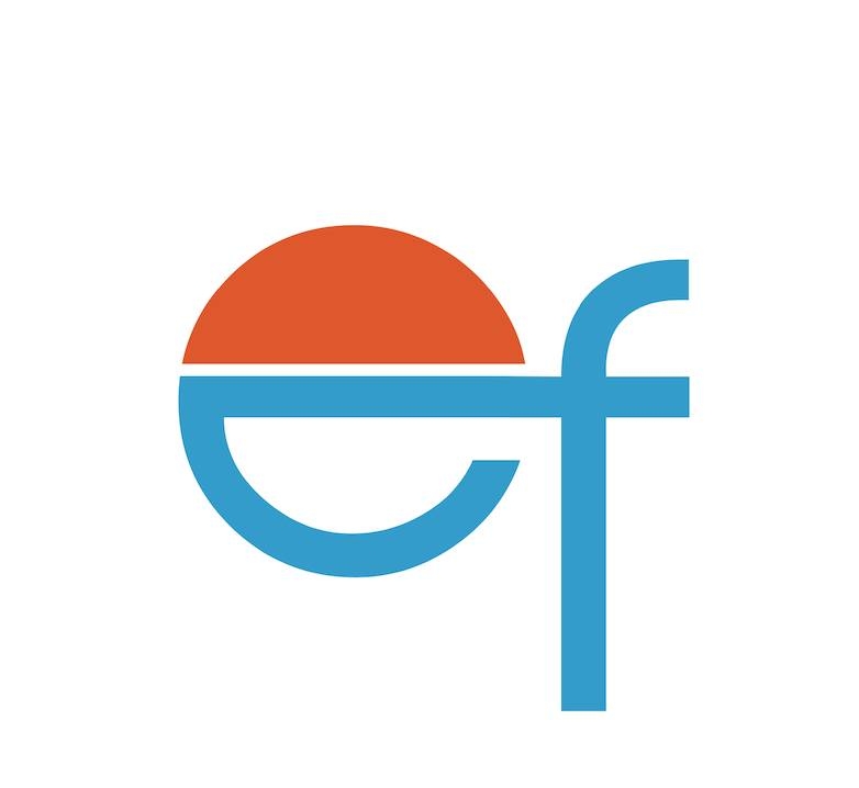 E Factor