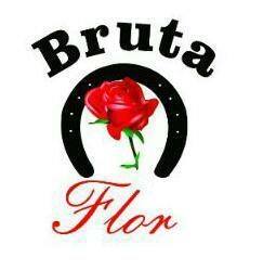 Comitiva Bruta Flor - SP