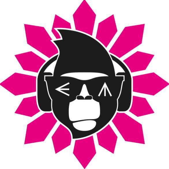 Dj Explosive Monkey
