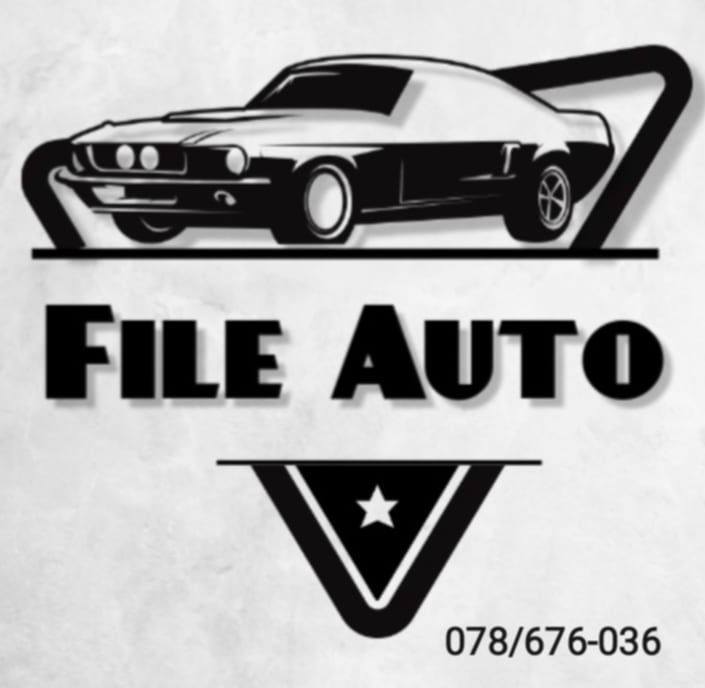 FILE CARS