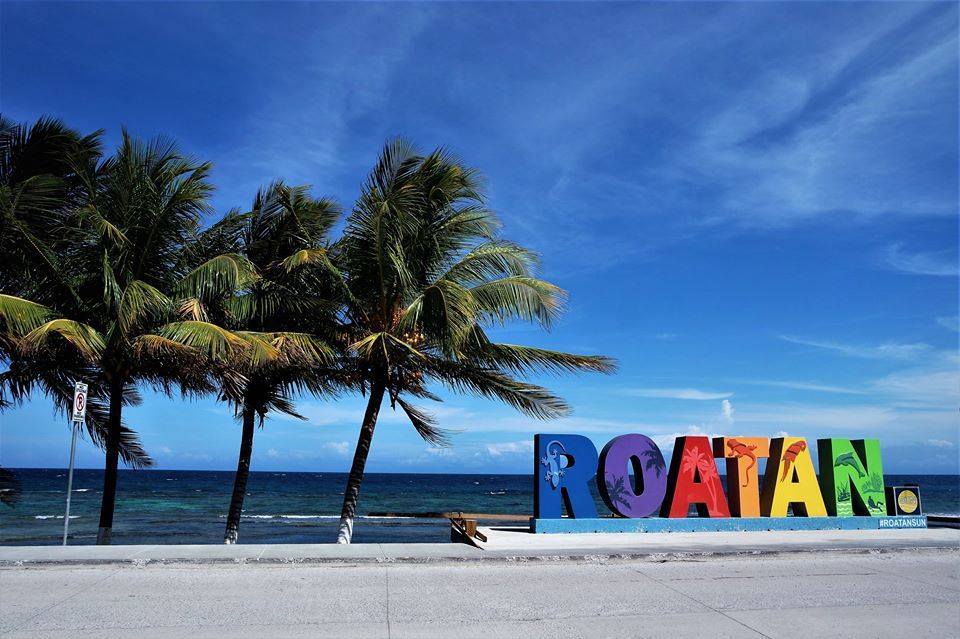 Oceanic Vision Tours | Roatán