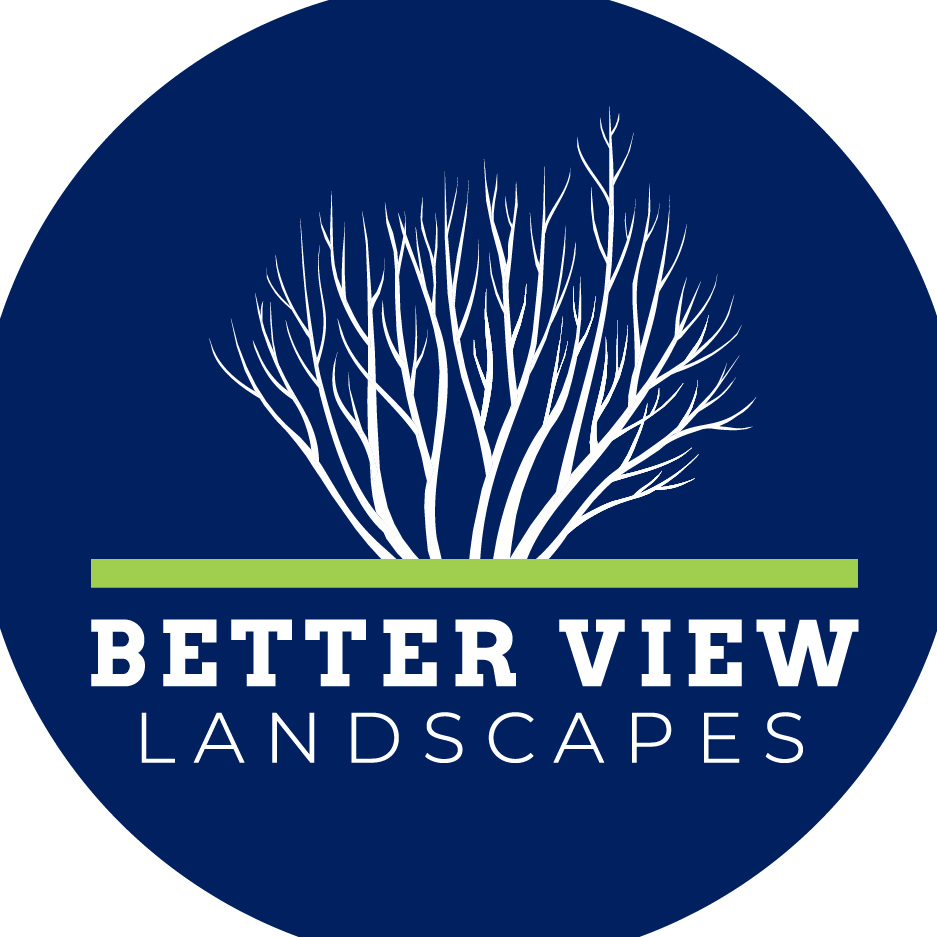 Better View Landscapes