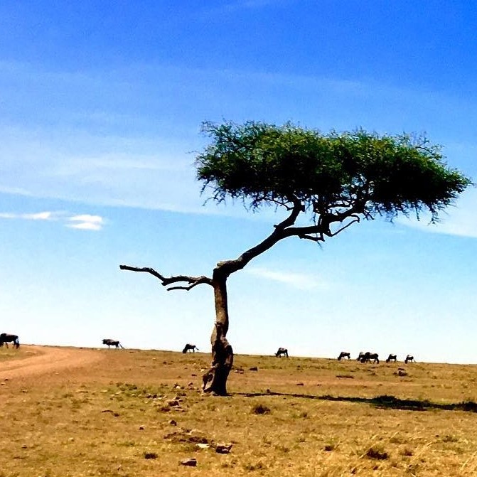 Samcom Bin Githuku