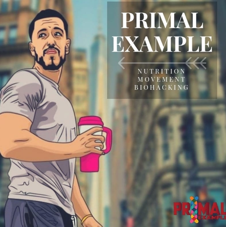 Primal Example | Chicago IL