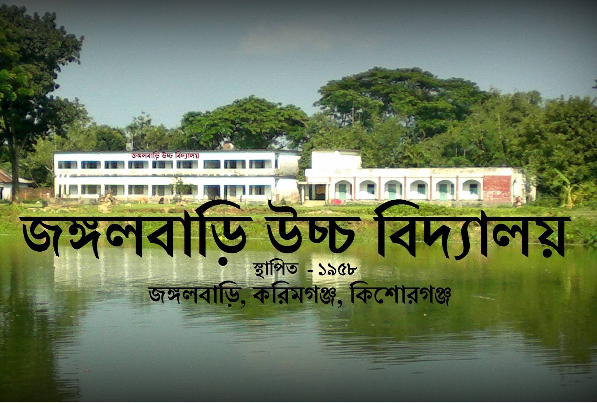 মেহেদী হাসান অনিক