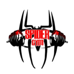 Spider Gym